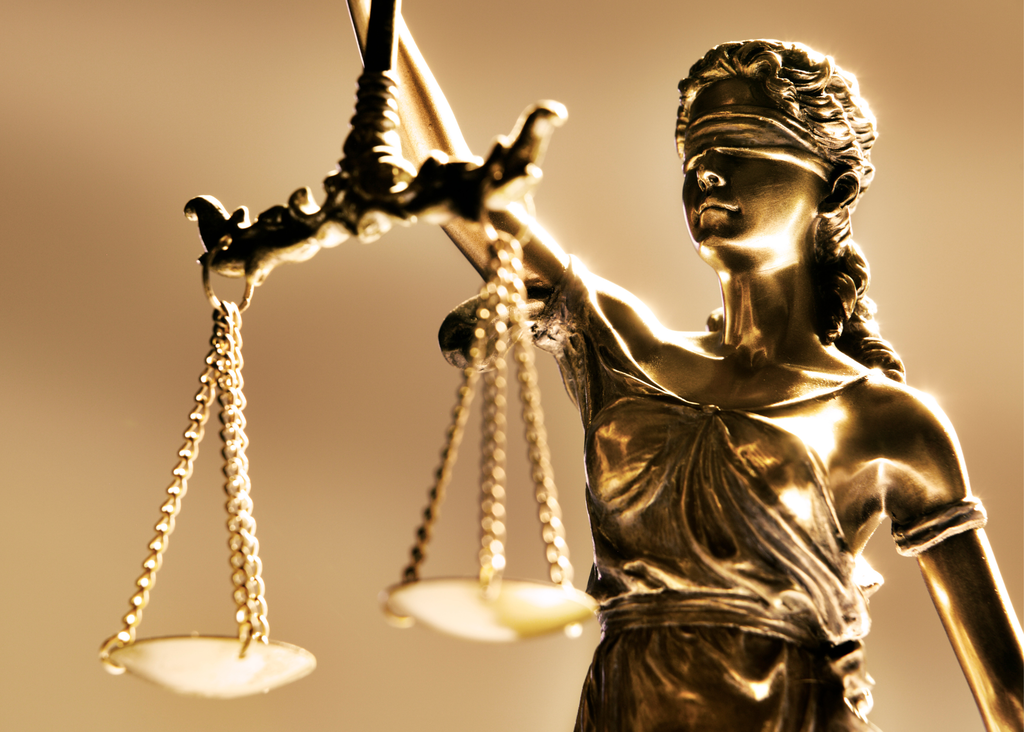 Lawyers for Social Justice Grapevine