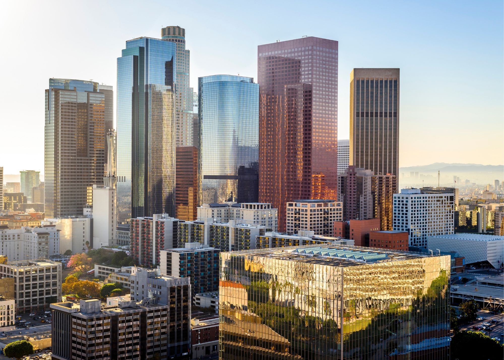 Los Angeles Real Estate Professionals for Good Grapevine