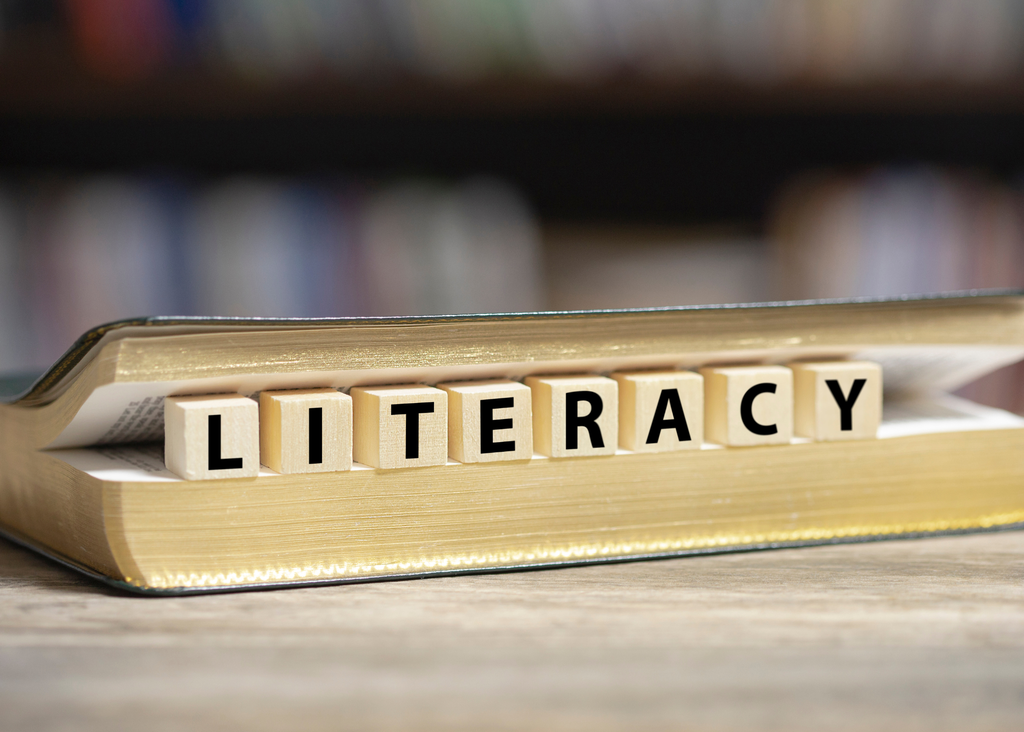 NYC Lawyers for Literacy Grapevine