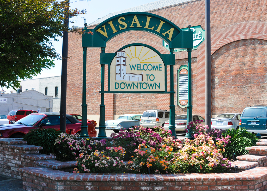 Visalia Women for Good Grapevine