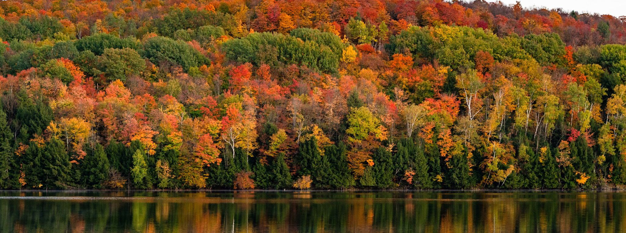 100+ Women Who Care of Addison County Grapevine