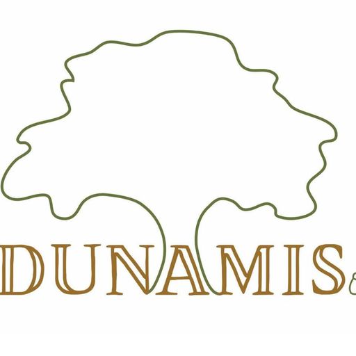 Donate to Dunamis Grapevine