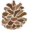 Montana Racial Equity Project