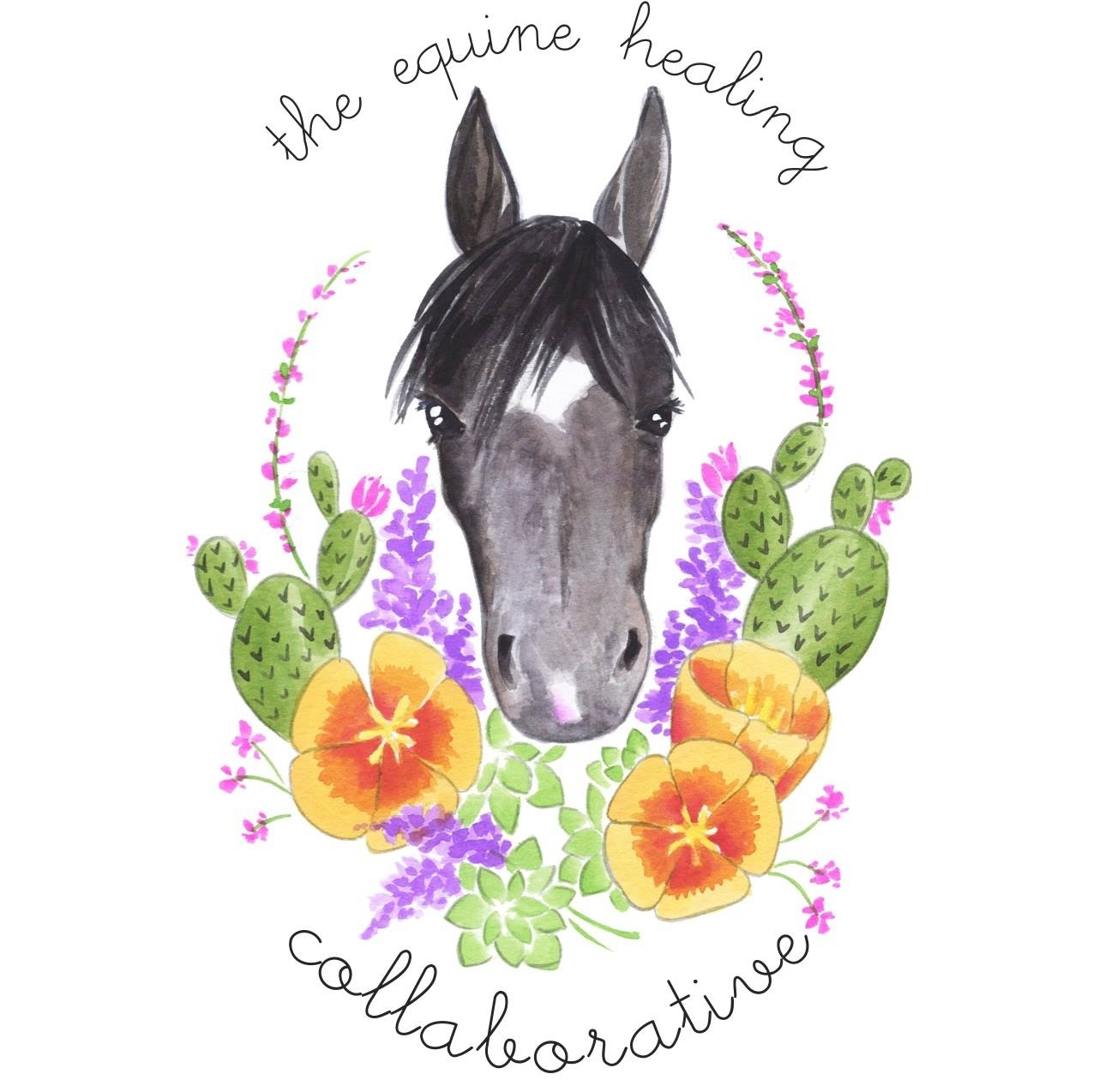 Donate to Equine Healing Collaborative Inc. Grapevine